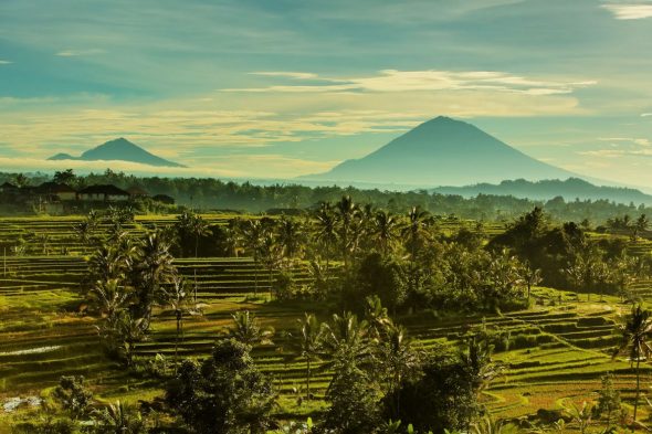 Jatiluwih Rice Terraces - Best Attractions in Bali